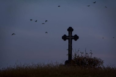 Bir tepe üzerinde yalnız Ortodoks çapraz silüeti dramatik günbatımı gökyüzü arka plan ve siyah kuşlar ile kurutulmuş yüksek çim kaplı