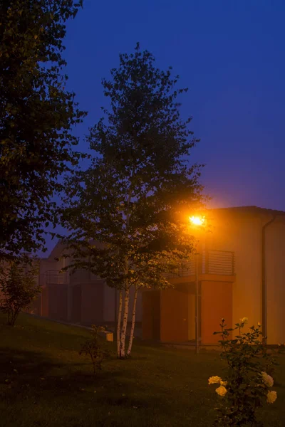 Misterioso Paisaje Niebla Abstracta Con Farolas Que Brillan Con Luz — Foto de Stock