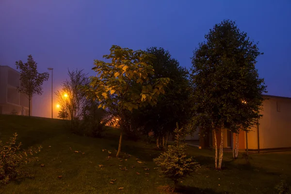 Misterioso Paisaje Niebla Abstracta Con Farolas Que Brillan Con Luz — Foto de Stock
