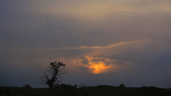 Kuşlar Bulutların Arasından Güneş Ile Dramatik Günbatımı Gökyüzü Arka Plan — Stok fotoğraf