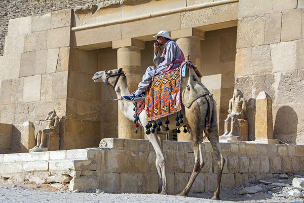 Gizé Egito Outubro 2018 Beduíno Camelo Frente Grande Pirâmide Gizé — Fotografia de Stock
