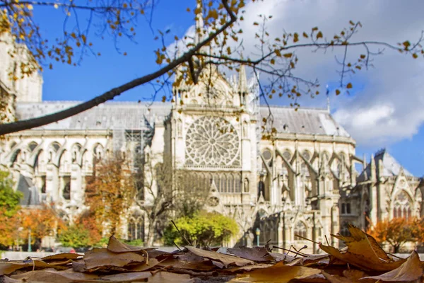 Vacker Utsikt Över Suddig Notre Dame Paris Mot Den Blå — Stockfoto