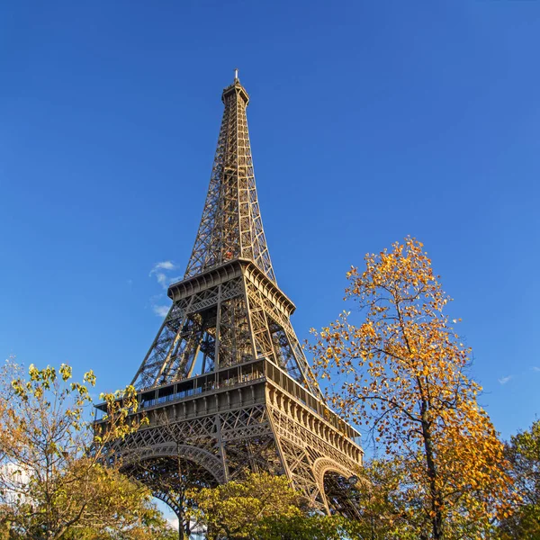 Ейфелева Вежа Осінніх Дерев Передньому Плані Низький Кут Зору Париж — стокове фото