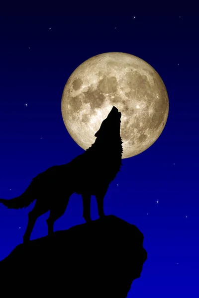 Black silhouette of howling wolf on a rock against the full Moon and the dark blue sky with stars on background