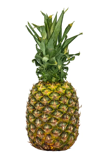 Olgun ananas (Ananas comosus) ile yeşil göl kenarında beyaz zemin üzerine, tropikal meyve bırakır.