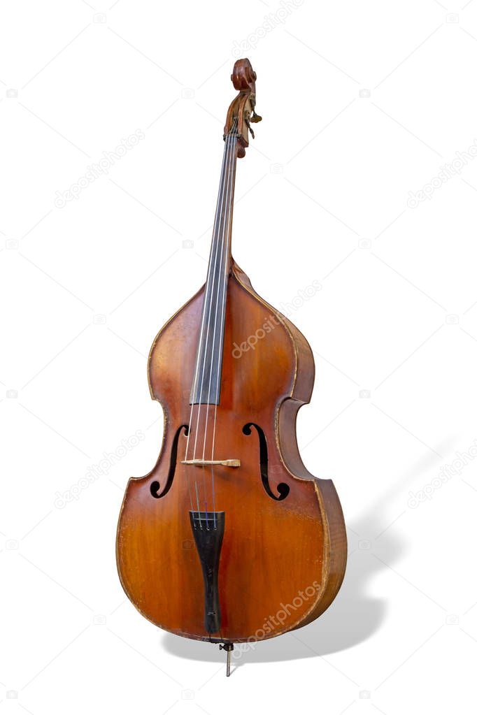 Contrabass isolated on a white background. Music instruments series