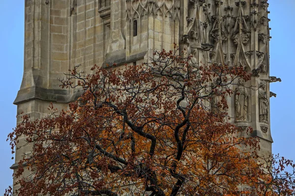 Barevné Podzimní Strom Věž Saint Jacques Pozadí Centru Paříže Francie — Stock fotografie