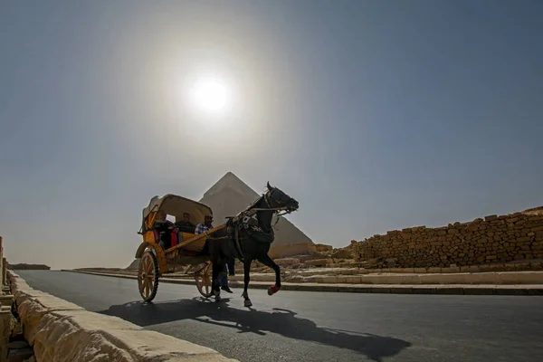 Giza Egipt Października 2018 Człowiek Bryczką Turystów Miejscu Starożytnych Piramid — Zdjęcie stockowe