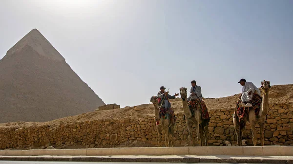 Giza Egypten Oktober 2018 Beduiner Kameler Desert Med Pyramid Chefrens — Stockfoto