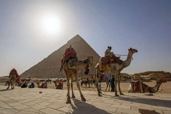 Beduinos Con Camellos Desierto Con Pirámide Khafre Fondo Sol Sobre — Foto de Stock