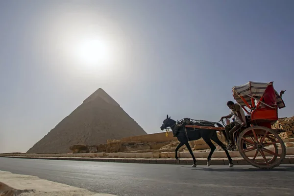 Giza Egypten Oktober 2018 Man Häst Och Vagn Med Turister — Stockfoto
