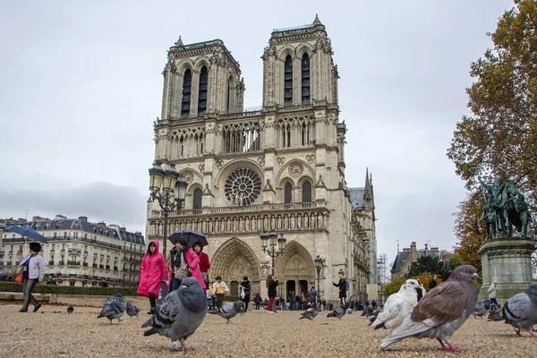 法国巴黎 2018年11月12日 巴黎圣母院前的鸽子和游客 低角度视图 — 图库照片