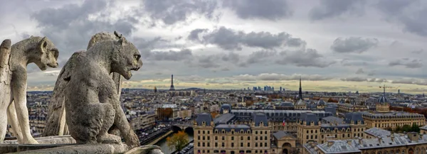 Chimères Gargouilles Sur Cathédrale Notre Dame Paris Surplombant Panorama Parisien — Photo