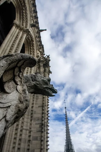 Chiméra Chrlič Zblízka Notre Dame Paris Paříži Rozmazané Věží Pozadí — Stock fotografie