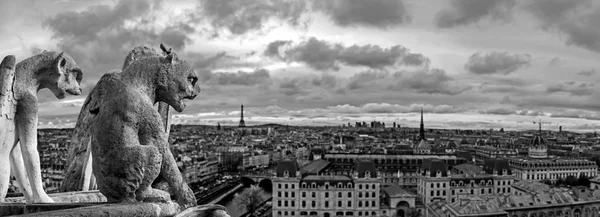 Chimères Gargouilles Sur Cathédrale Notre Dame Paris Surplombant Panorama Parisien — Photo