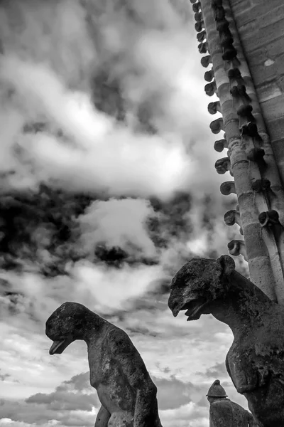 Chimeras Gargoyle Vicino Notre Dame Paris Parigi Francia Con Torre — Foto Stock
