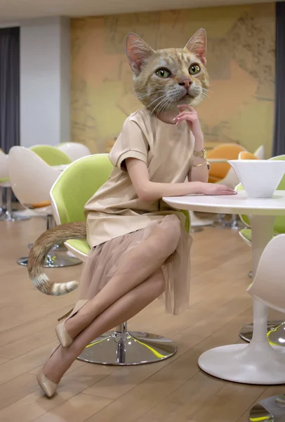 Surrealistische Foto Van Kitten Onder Leiding Vrouw Beige Jurk Zitten — Stockfoto