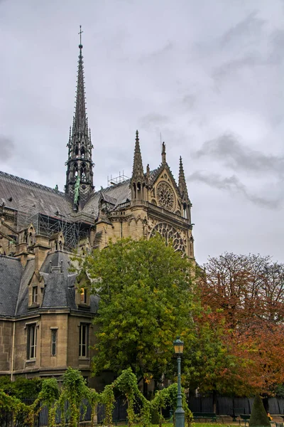 Vertikální Výhled Notre Dame Paris Seiny Paříži Podzim Ideální Pro — Stock fotografie