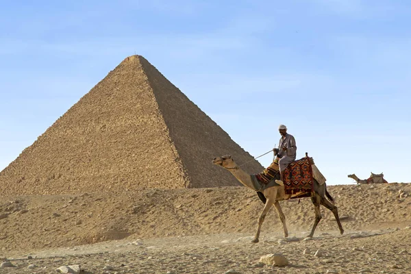 Giza Egipto Octubre 2018 Beduino Camello Desierto Cerca Gran Pirámide — Foto de Stock