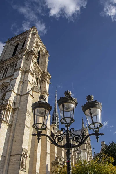 Notre Dame Paris Och Vintage Streetlight Ligger Längs Floden Seine — Stockfoto