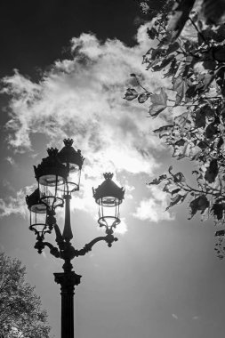Bulutlu bir gökyüzü ve sonbahar ağacı dalları, Paris, Fransa arka planda Vintage fener. Siyah beyaz fotoğrafçılık