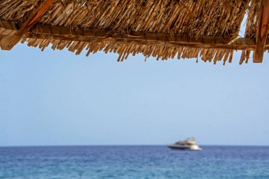 Sabah saatlerinde bulanık arka planda mavi deniz, yat ve gökyüzü ile sazçatı