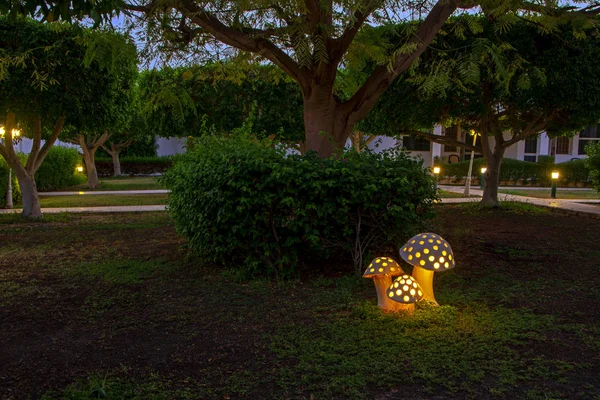 Beautiful Original Lamp Mushroom Shape Illuminate Green Garden Tropical Resort — Stock Photo, Image