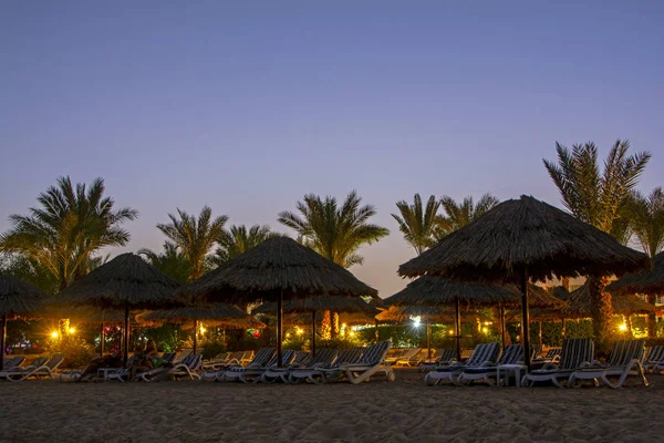 Şarm El-Şeyh, Mısır - 31 Ekim 2018: Mısır Maritim Jolie Ville Resort'ta tatil. Gün batımında tropikal kumlu plajda güzel ışıklı yeşil palmiye ağaçları, saman şemsiye ve şezlong