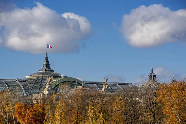 Una Porzione Del Tetto Del Grand Palais Visibile Con Bandiera — Foto Stock