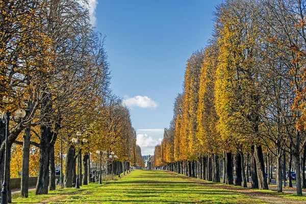 Veduta Panoramica Bellissimi Alberi Autunnali Sotto Cielo Blu Nel Parco — Foto Stock