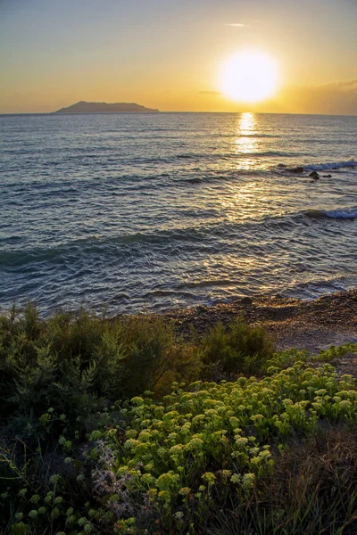 Ufukta Korfu Ada Silueti Yunanistan Planda Yeşil Bitkiler Ile Deniz — Stok fotoğraf