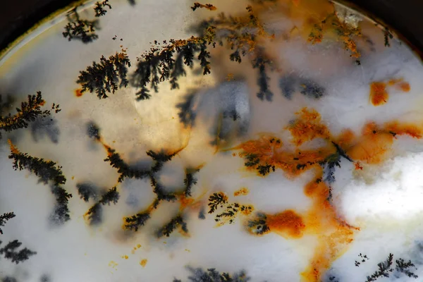 Macro Extrema Gemstone Moss Ágata Mossy Opal Com Detalhes Padrão — Fotografia de Stock