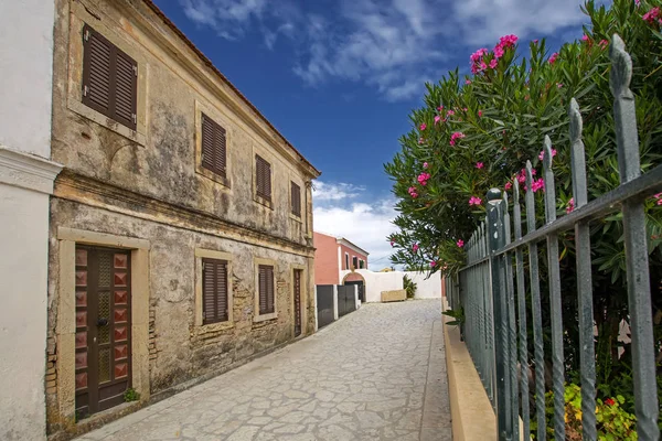 Vue Perspective Avec Des Maisons Village Anciennes Belles Fleurs Roses — Photo