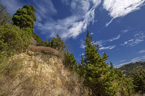 Zöld Fák Nőnek Sziklák Kék Felhős Égbolt Háttérben Alacsony Szögfelvétel — Stock Fotó