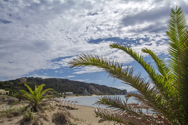 Wide Angle Scene Green Palm Tree Foreground Blue Sea Cloudy — 스톡 사진