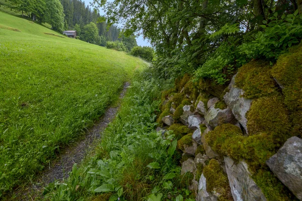Wide angle perspective scene with path near stone wall covered with moss and lonely wooden hut on the slope of the green forest-covered mountains in the Swiss Alps in Beatenberg, Switzerland