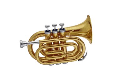 Altın klasik rüzgar müzik aleti kornet beyaz arka plan üzerinde izole. Müzik aletleri serisi