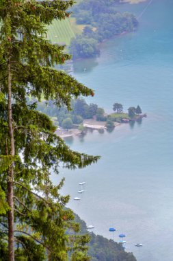 Göl Thun ve Beatenberg, Isviçre yüksek Conifer ağaç dalları üzerinden Yatlar güzel dikey görünüm