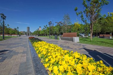 Erivan, Ermenistan'da arka planda yeşil ağaçlar, banklar ve mavi gökyüzü ile şehir parkında uzun sarı çiçek yatağı ile güzel bir perspektif sahne