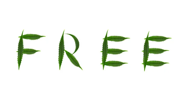 Λέξη Ελεύθερο Γράφτηκε Από Πράσινα Φύλλα Μαριχουάνας Που Απομονώθηκαν Λευκό — Φωτογραφία Αρχείου
