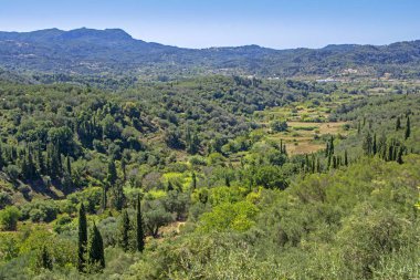 Korfu adasının güzel panoramik manzarası mavi gökyüzü altında orman ve zeytin ağaçları ile kaplı, Yunanistan