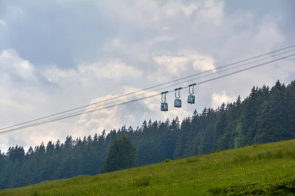 Cableway Niederhorn Station Swiss Alps Green Meadow Coniferous Forest Background — Stock Photo, Image