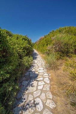 Canal d'Amour Plajı'nda Akdeniz kıyı şeridinde mavi gökyüzüne karşı yeşil bitkilerden yaya taşı geçidinin perspektif dikey görünümü, Korfu, Yunanistan