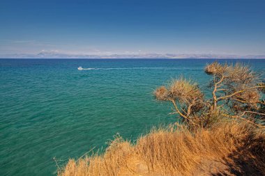 Korfu, Yunanistan İyon denizi üzerinde uçurumda kurutulmuş ağaç ile Güzellik manzara. Sakin mavi deniz, parlak bulutsuz gökyüzü ve berrak ufuk
