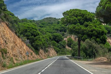 Katalonya, İspanya'da mavi bulutlu gökyüzü altında yeşil ağaçlarla kaplı kayalar arasında dağ yolu Perspektif görünümü