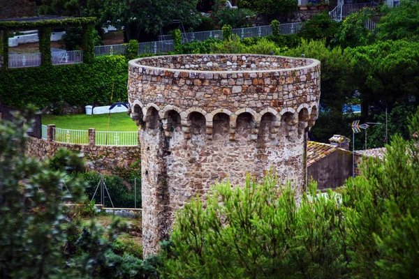 Torre Fortaleza Vila Vela Tossa Marte Espanha Catalunha Cercada Plantas — Fotografia de Stock Grátis