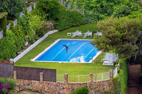 Colorful scene with blue pool in green garden and artificial hawk in sky against azure water background