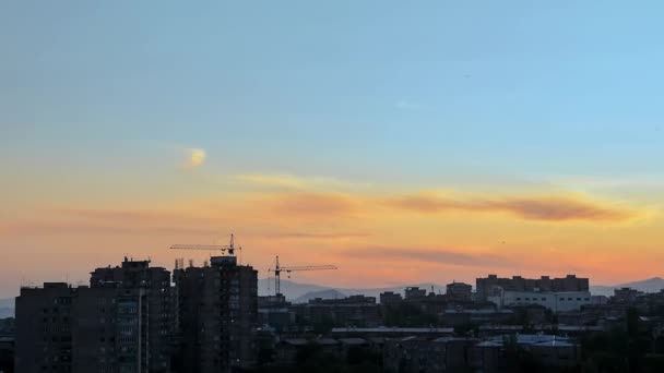 Schwarze Kleine Vögel Mauersegler Fliegen Den Wunderschönen Abendhimmel Über Den — Stockvideo