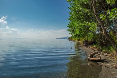 Sevan Gölü kıyısında güzel bir manzara, yeşil ağaçlar, durgun su yüzeyinde mavi dalgalar ve güneşli bir günde mavi gökyüzünde beyaz bulutlar. Ermenistan