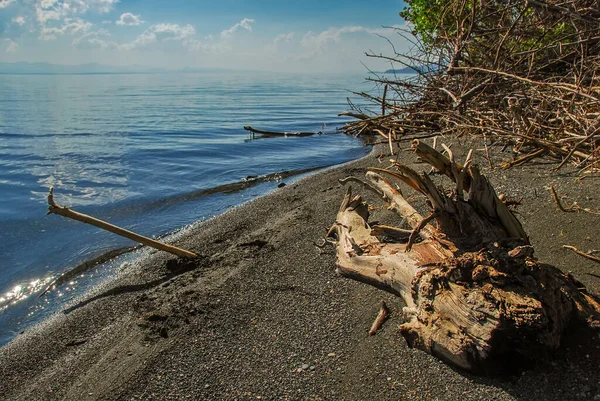 Gyönyörű Táj Régi Gubanc Sevan Lake Shore Zöld Fák Kék — Stock Fotó